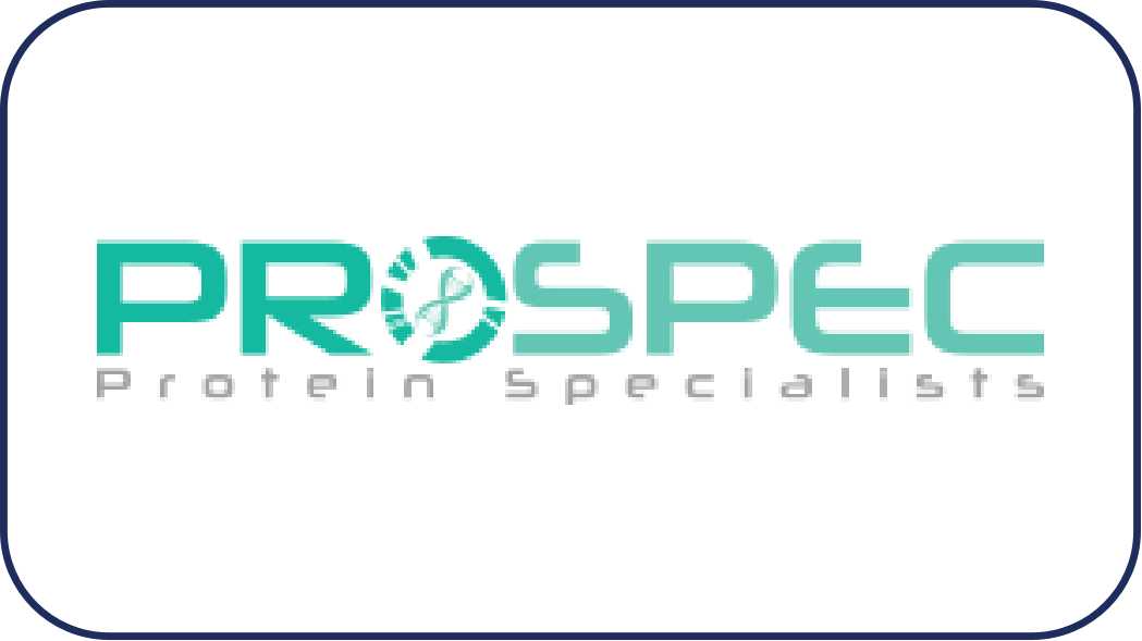 Prospec.jpg Prospec.jpg